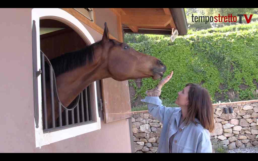 santa maria del bosco