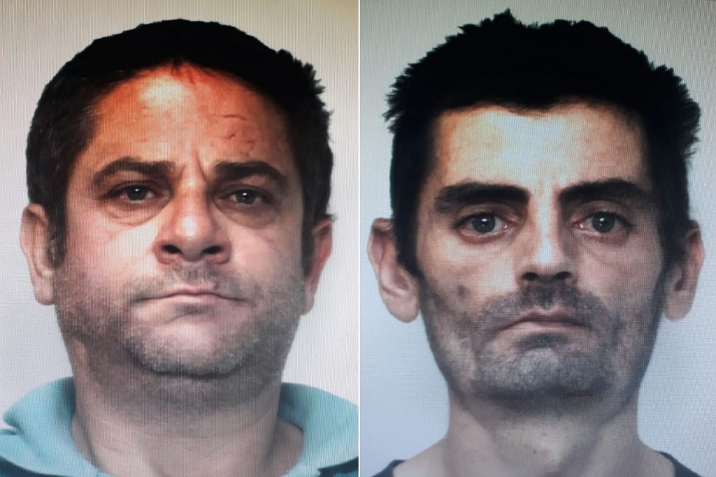 angelo perdicucci carmelo drago