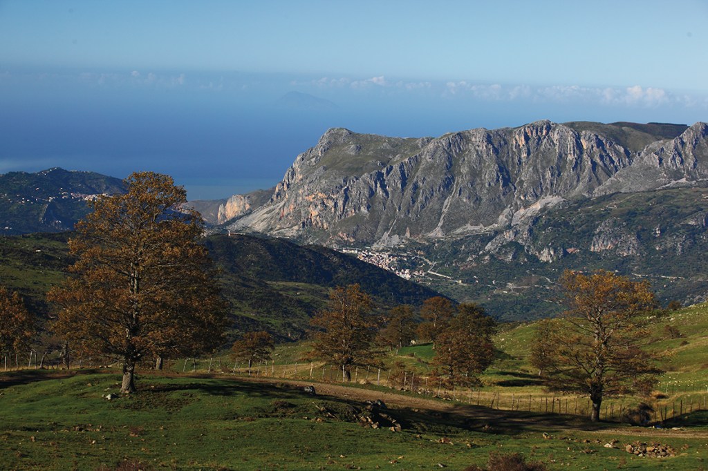 Giovanni Cavallaro nominato commissario straordinario del Parco dei Nebrodi