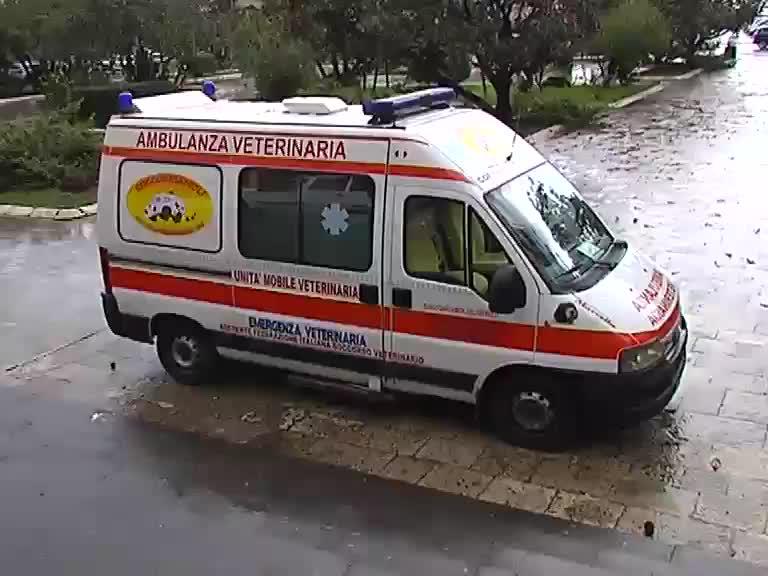 ambulanza