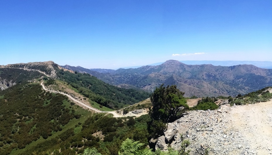 L'appello. "Difendiamo i monti Peloritani dagli incendi" VIDEO