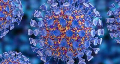 Un'immagine di Coronavirus