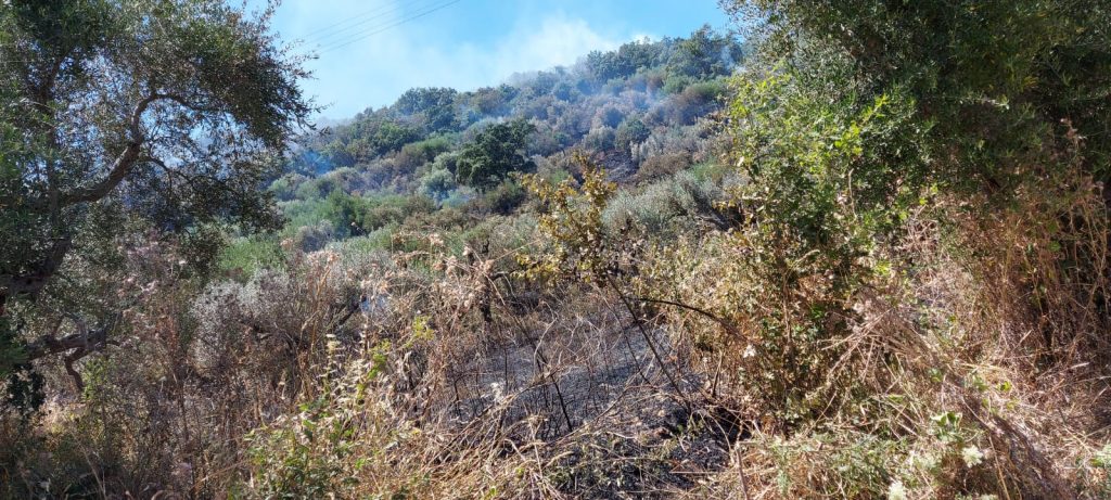 incendio naso 4 luglio 2021