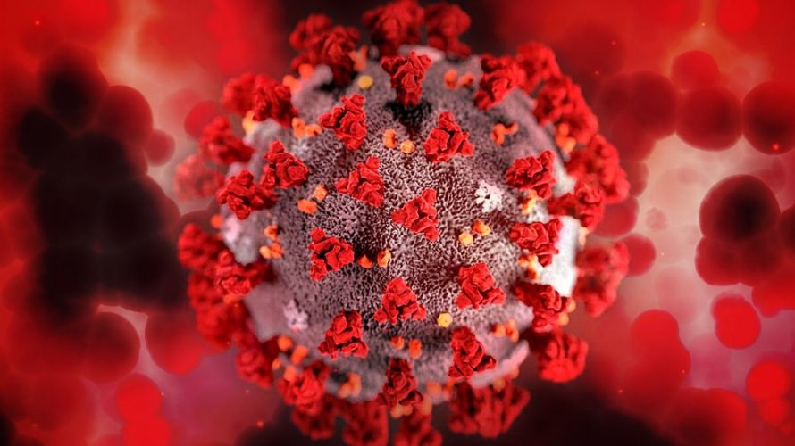 Un'immagine del Coronavirus elaborata al computer