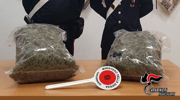 La marijuana sequestrata a Gioia Tauro