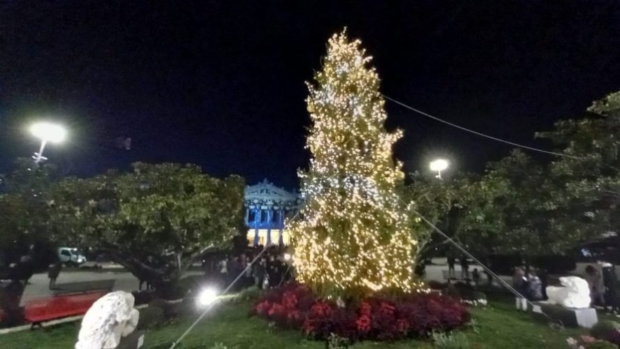 L'albero di Natale acceso a piazza Municipio a Messina