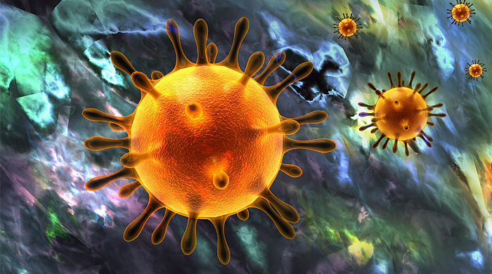 Un'immagine del Coronavirus