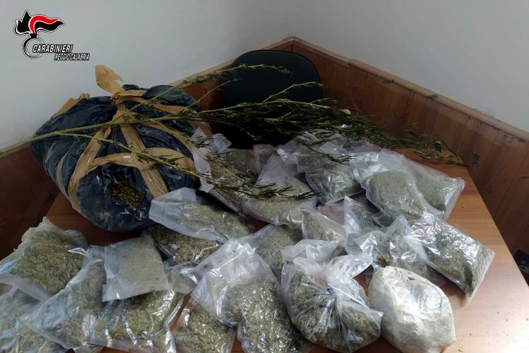 Marijuana sequestrata a San Giovanni di Gerace