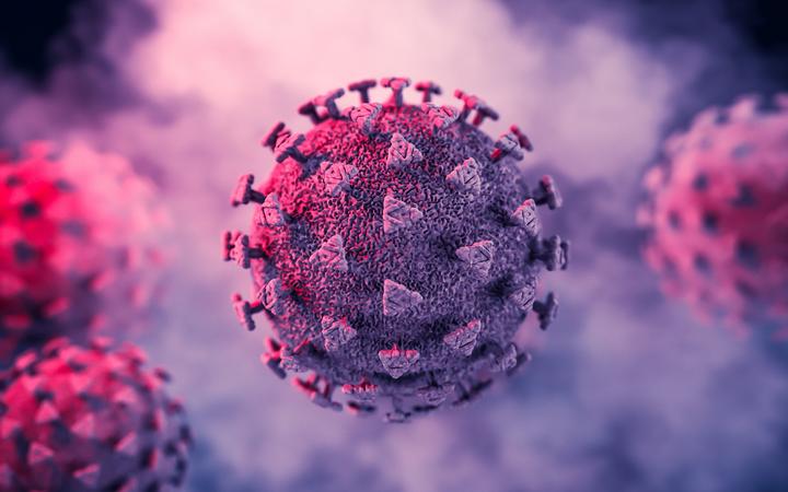 Un'immagine di Coronavirus