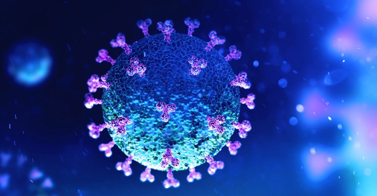 un'immagine di Coronavirus