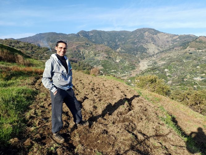 A Messina si torna a coltivare il grano antico