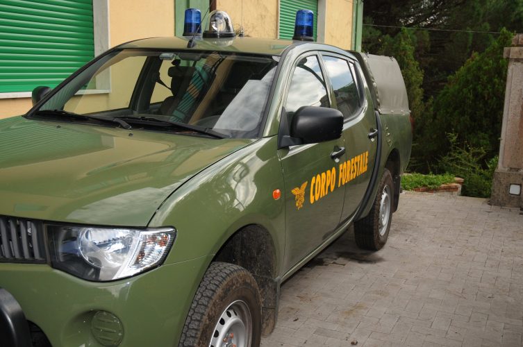 Corpo Forestale