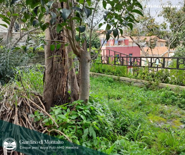 giardino-montalto-puliamo-messina-8