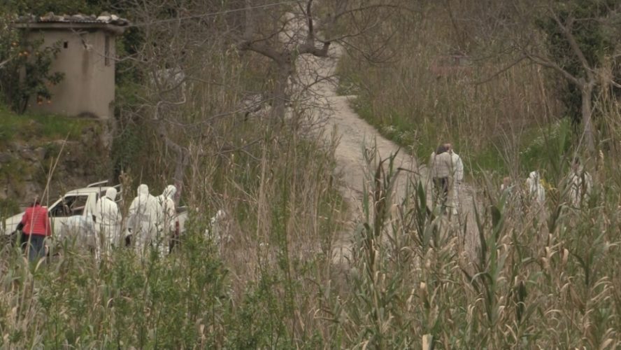 delitto Provenzano a Calanna