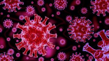 Un'immagine di Coronavirus