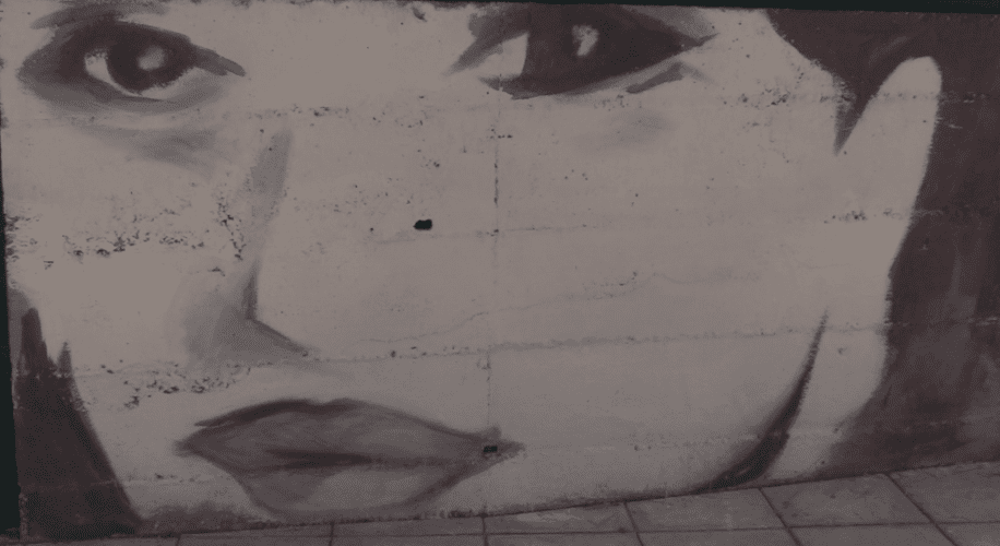 Palmi, "Viale della Memoria": il murale antimafia dedicato a Lea Garofalo