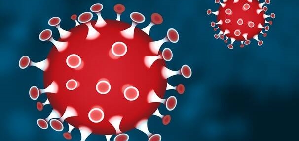 Un'immagine di Coronavirus