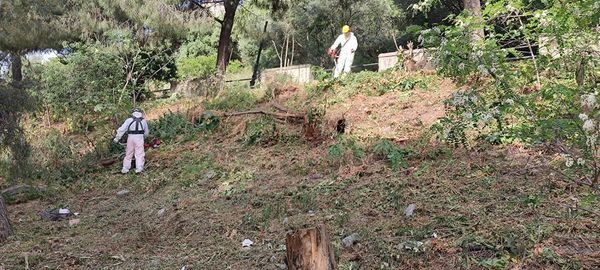 milazzo croce di mare pulizia