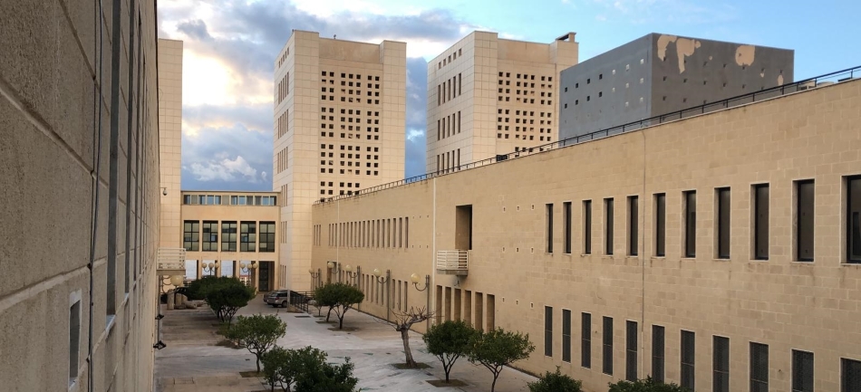 L'Università "Mediterranea" di Reggio Calabria