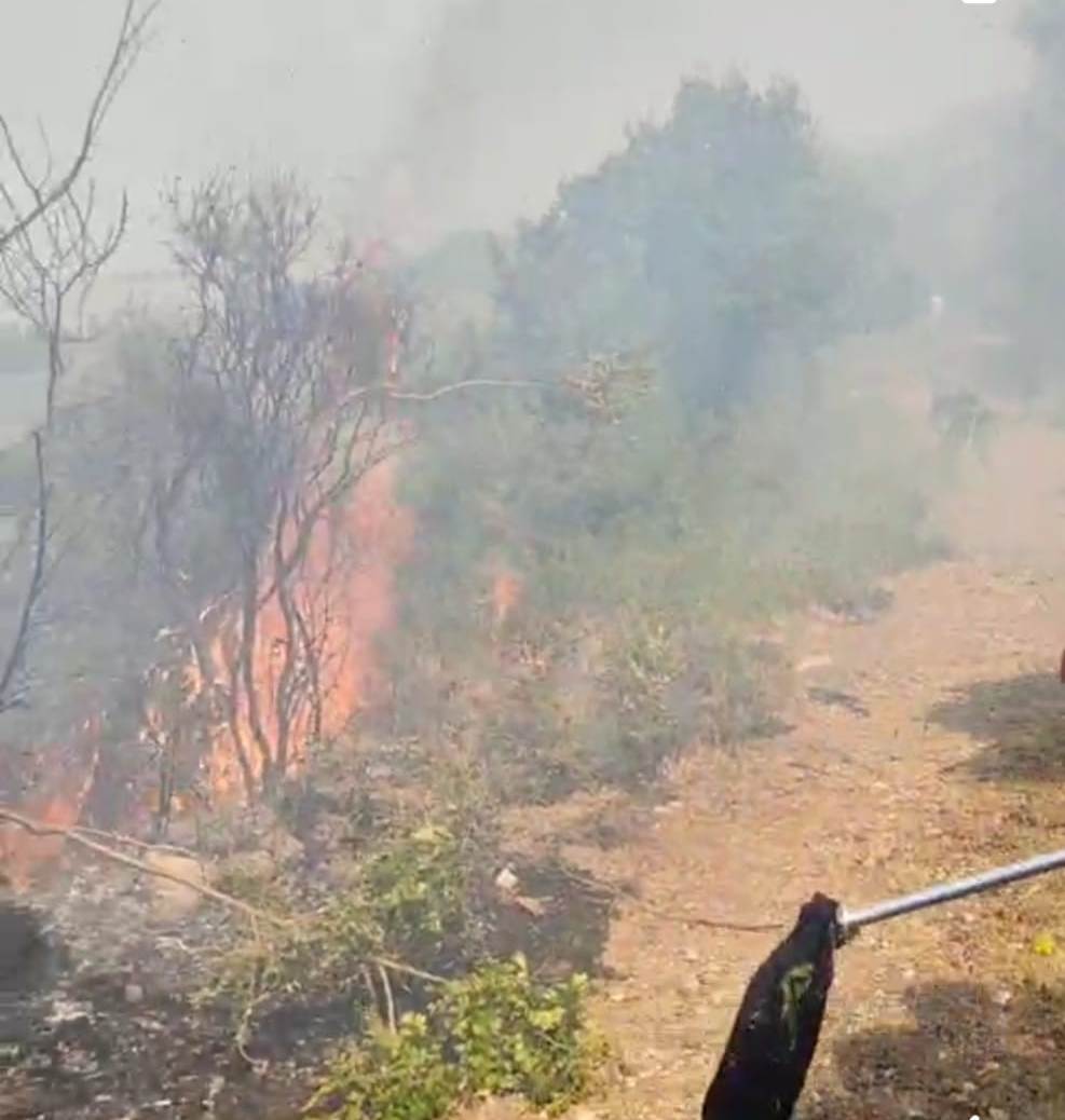 incendio san marco d'alunzio 300622