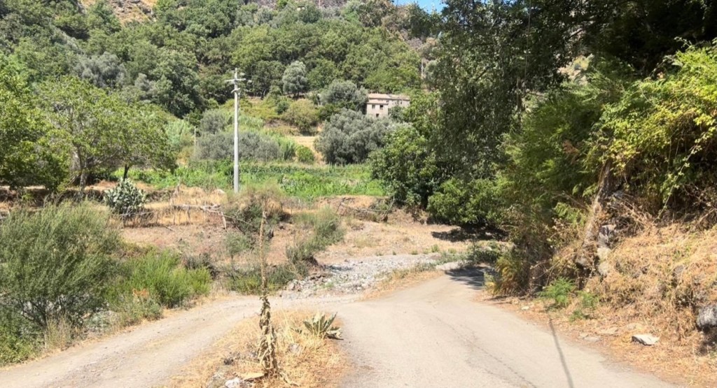 omicidio ravidà fiumedinisi