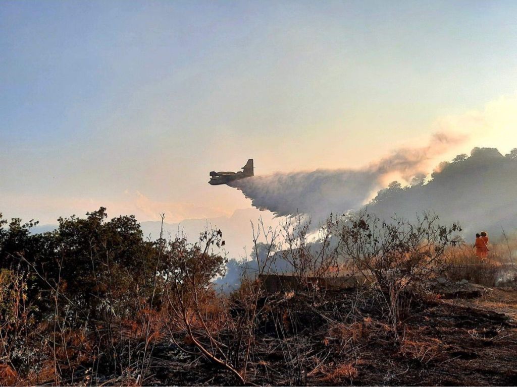 incendio savoca 280722