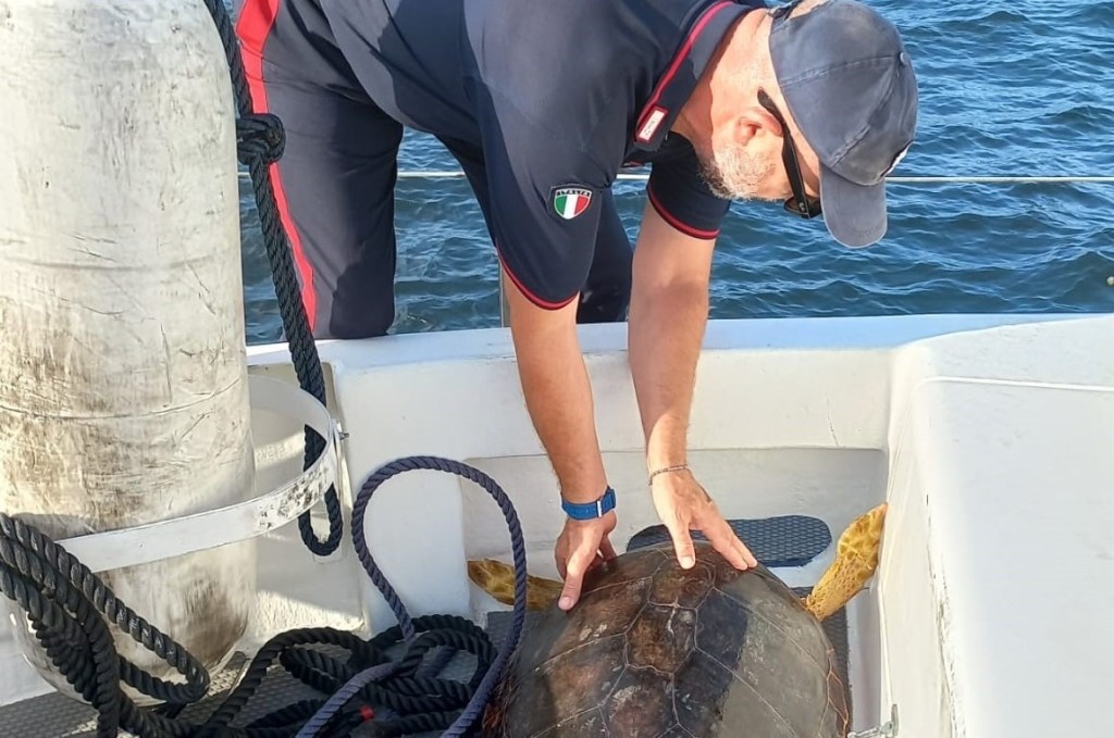 Motovedetta CC814 milazzo soccorre tartaruga marina a stromboli