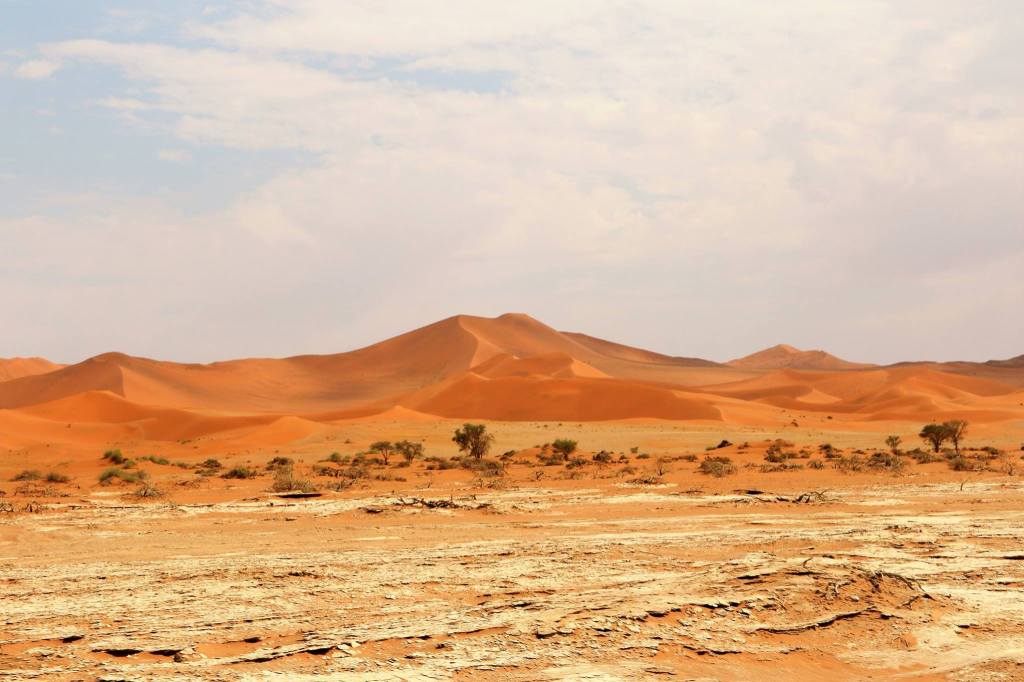 Africa: l'appello di Zanotelli sul silenzio dei media