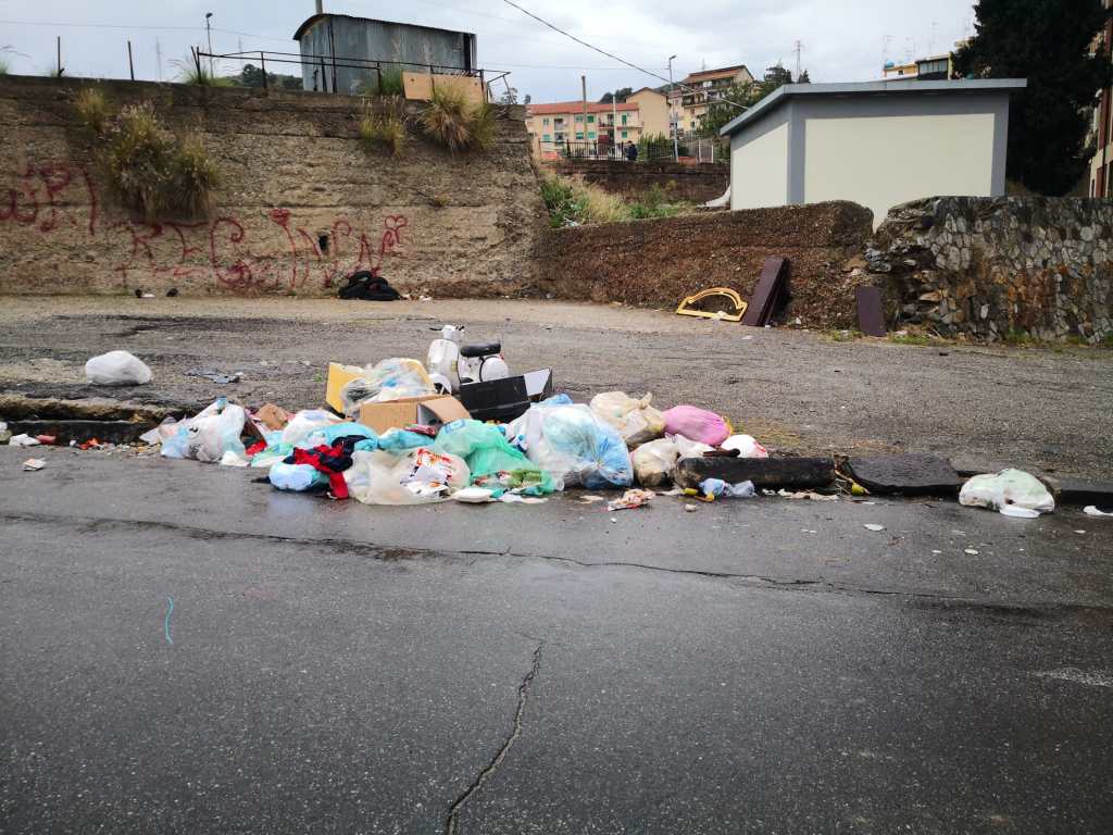 Discarica rifiuti in strada