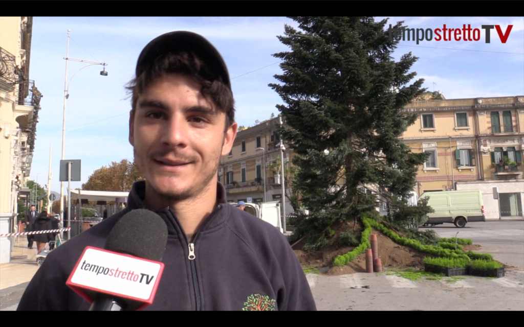 albero vivai bonaccorso