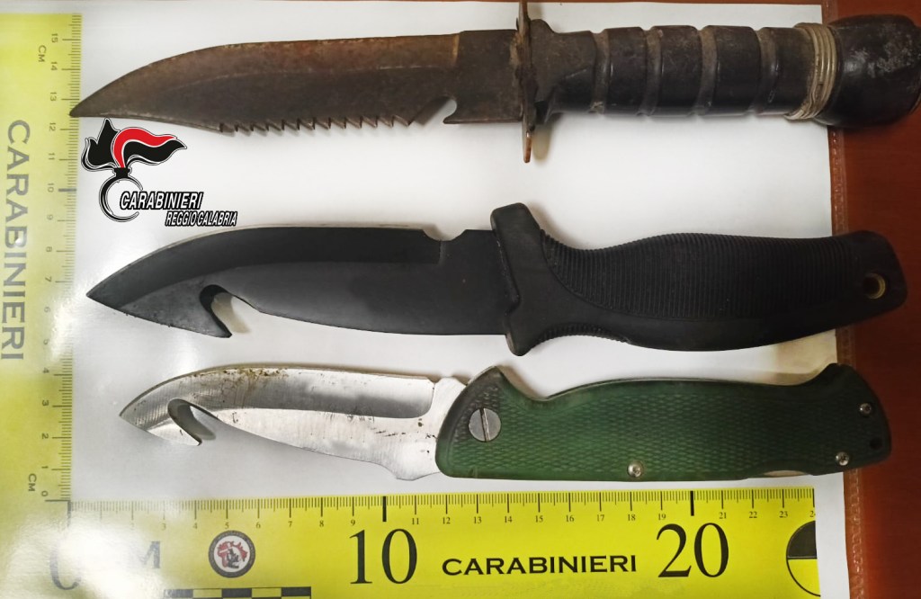 Parte delle armi detenute illegalmente a Cataforio
