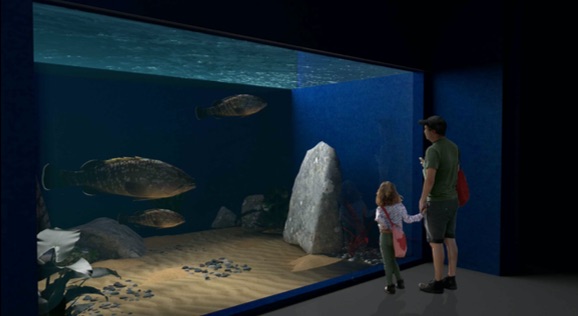 acquario villa mazzini