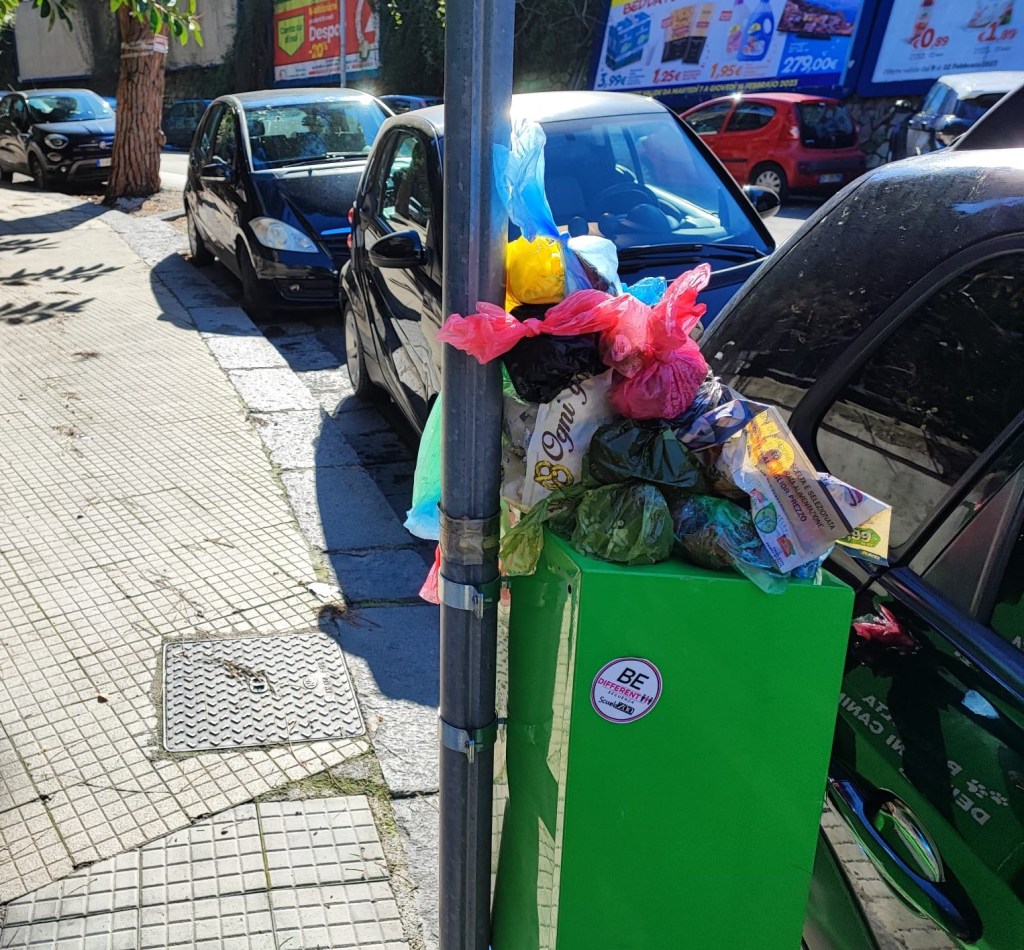 "Le cassette delle deiezioni canine vengono bloccate da volantini e giornali" VIDEO