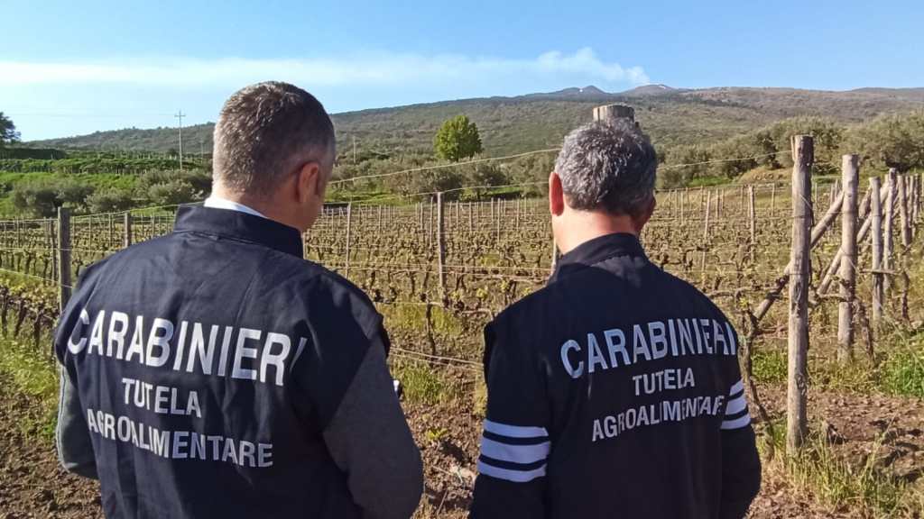 Cc tutela agroalimentare