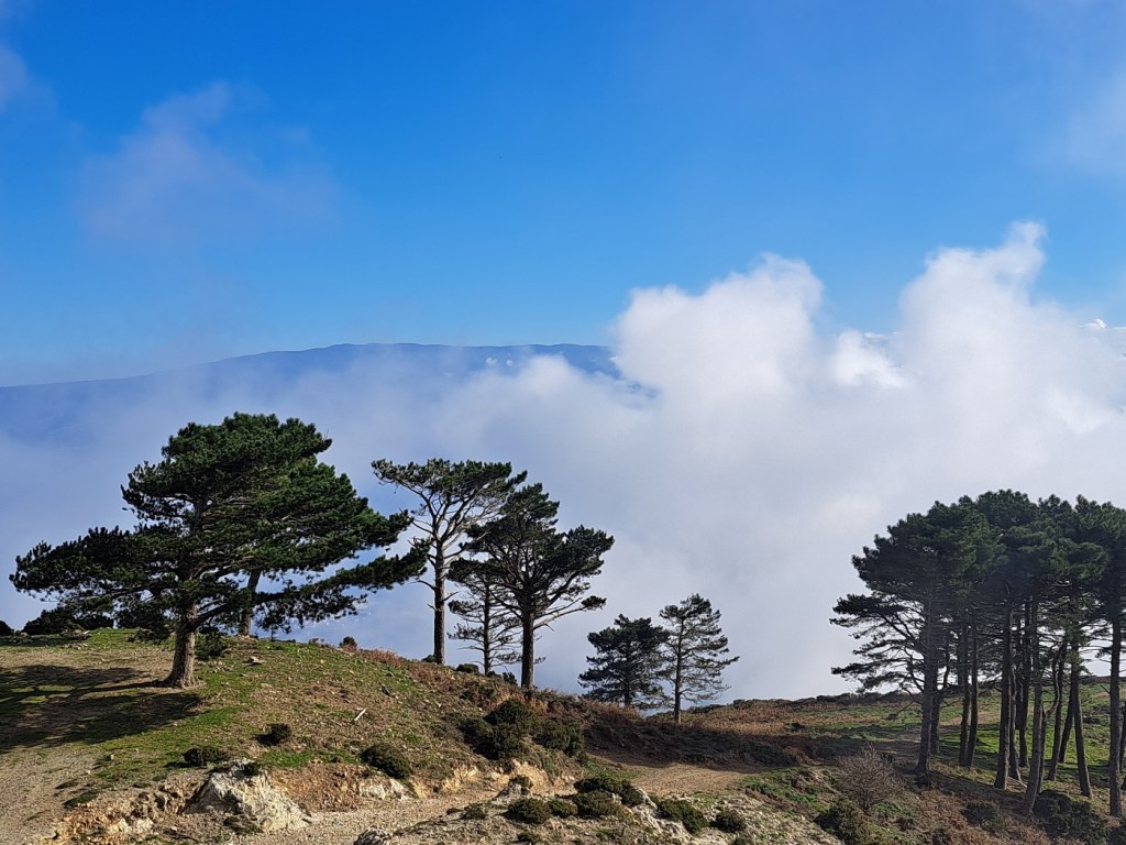 Perché le vette dei Peloritani sono quasi sempre avvolte dalle nubi?