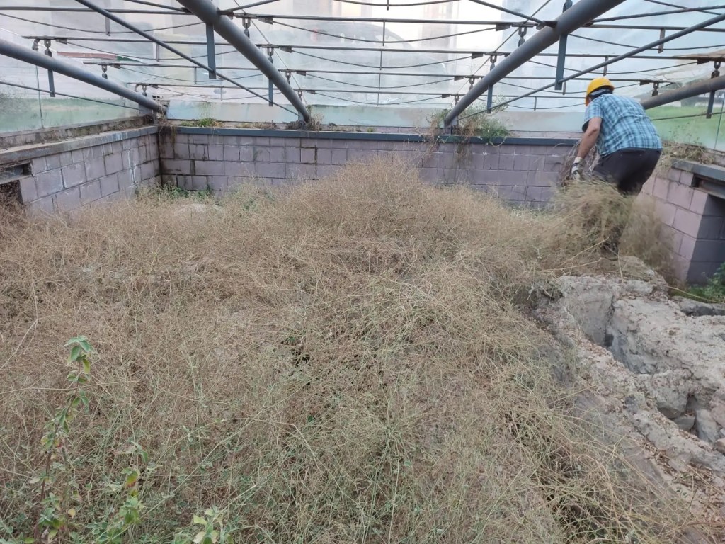 Milazzo necropoli piazza duomo