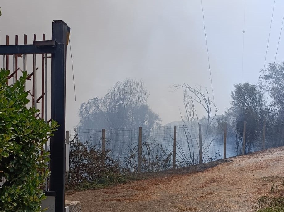 Incendi, Minutoli: "Un grande lavoro di squadra ma la prevenzione va rafforzata"