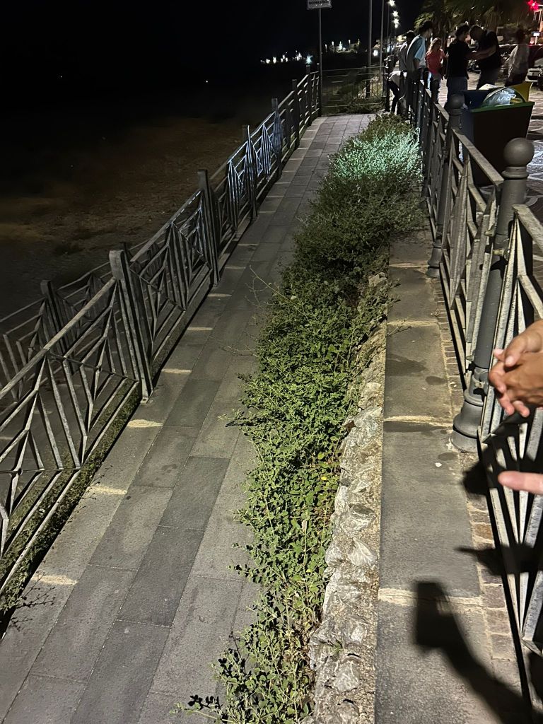 Messina. Erbacce nella discesa a mare a S.Margherita.