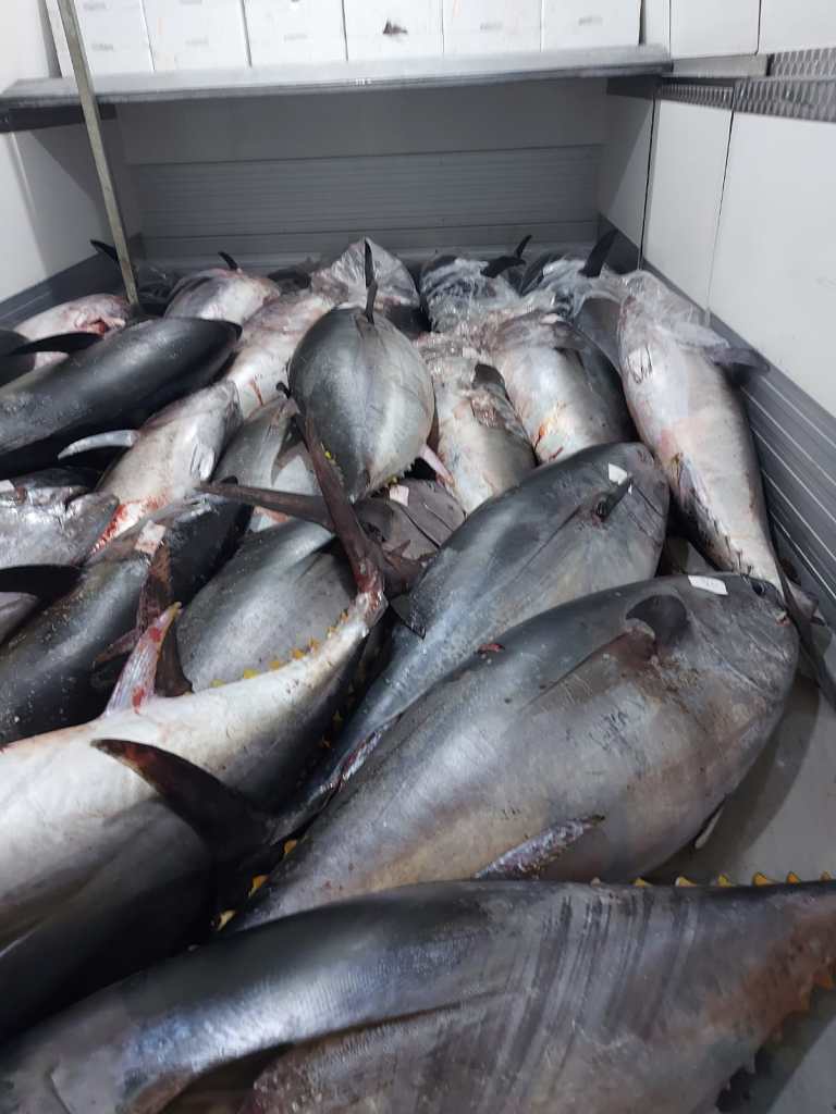 PRODOTTI ITTICI PREGIATI 2