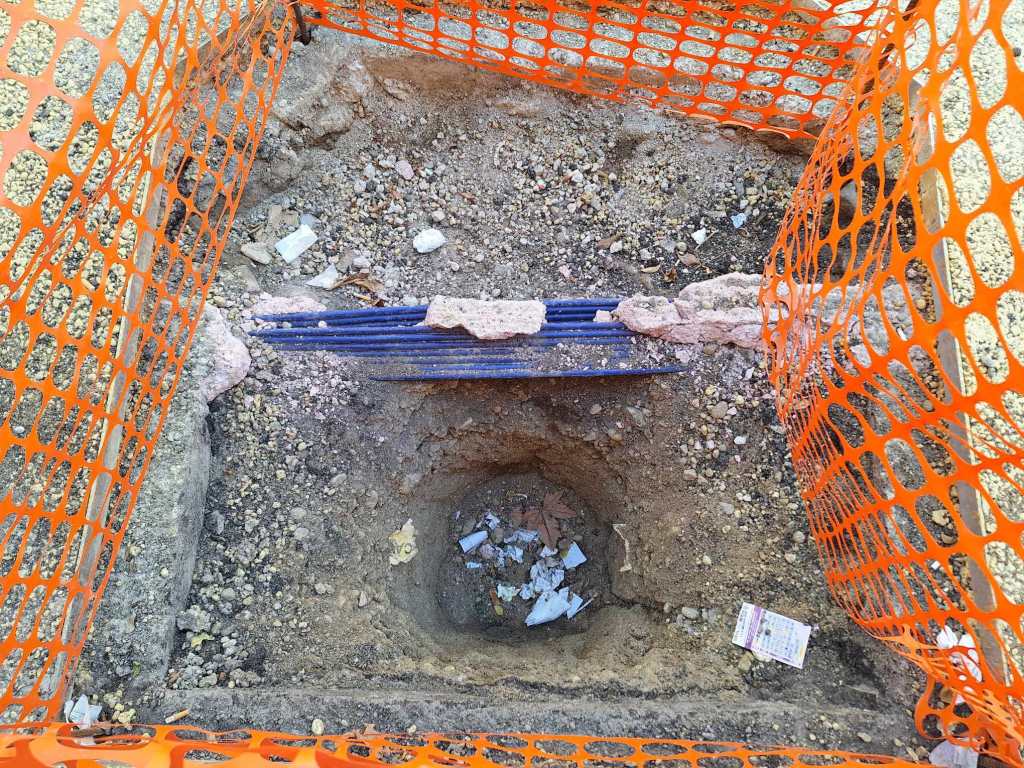 Cavi fibra forestame