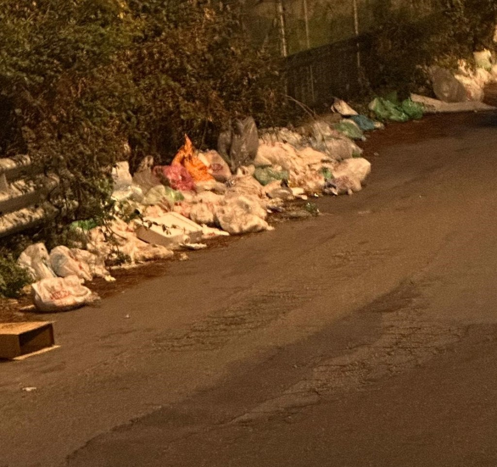 Rifiuti nei pressi dell'ex scuola Nicholas Green