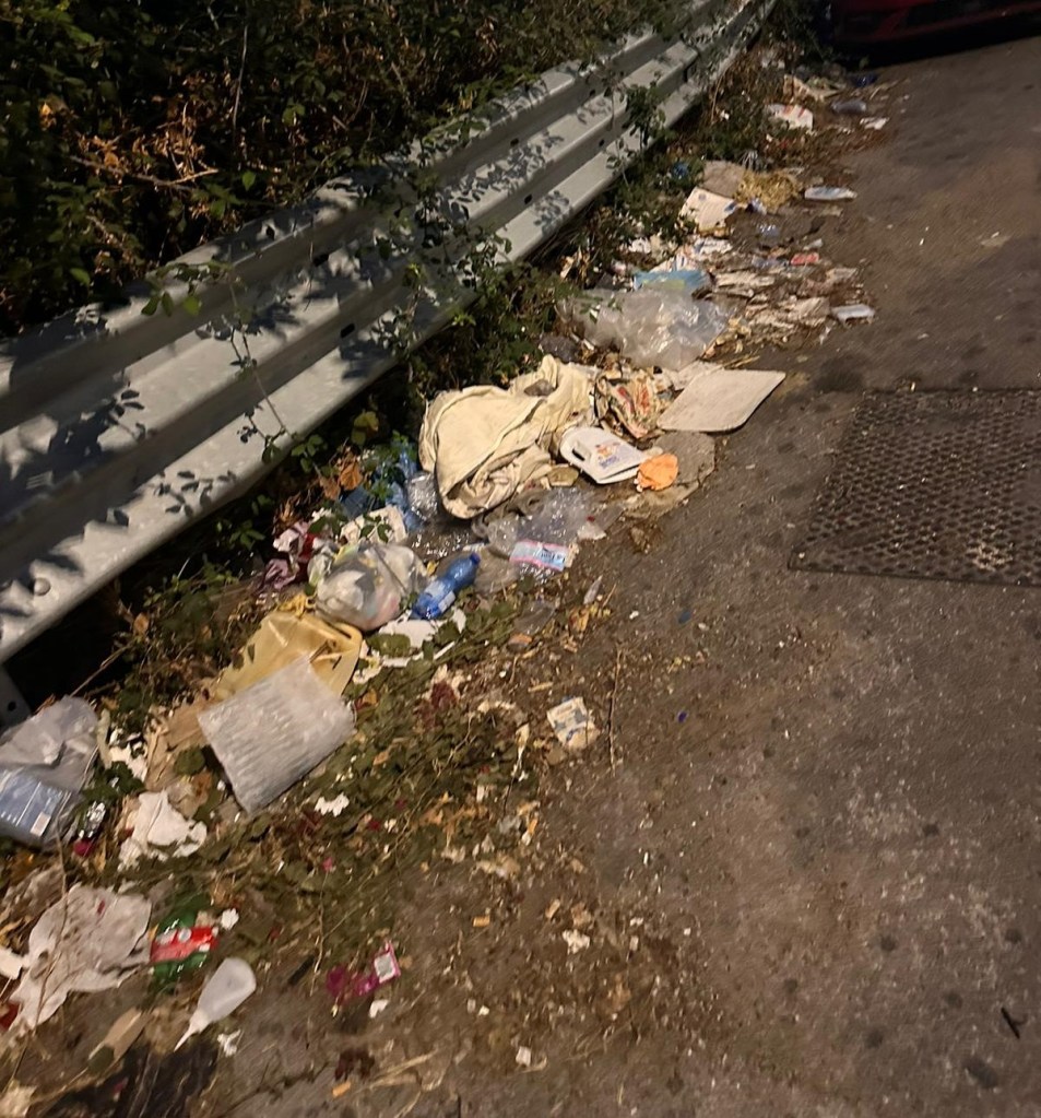 Rifiuti nei pressi dell'ex scuola Nicholas Green