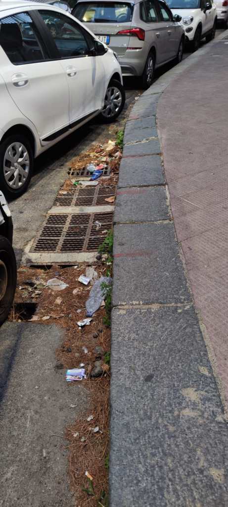 Messina. Tombino otturato dalle foglie in viale Principe Umberto