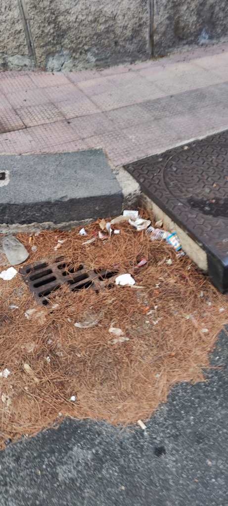 Messina. Tombino otturato dalle foglie in viale Principe Umberto
