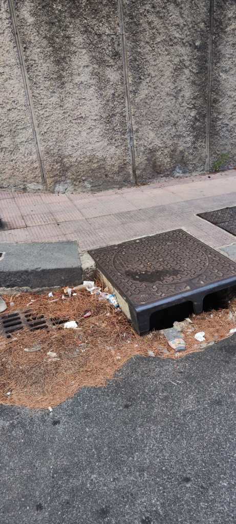 Messina. Tombino otturato dalle foglie in viale Principe Umberto