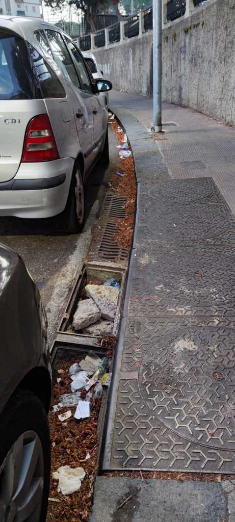 Messina. Tombino otturato dalle foglie in viale Principe Umberto