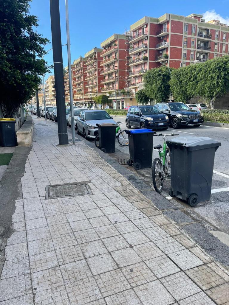 Carrellati per i rifiuti usati per occupare suolo pubblico