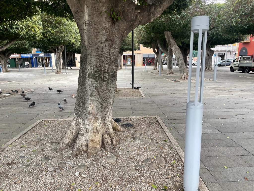 nuova illuminazione piazza cairoli