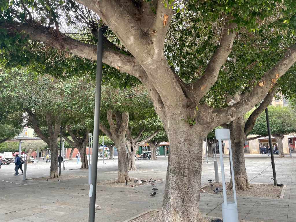 nuova illuminazione piazza cairoli