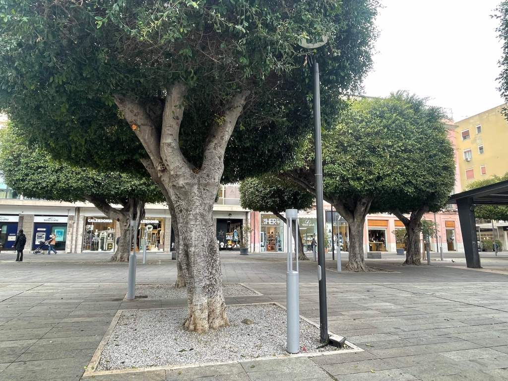 nuova illuminazione piazza cairoli